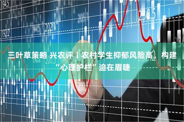 三叶草策略 兴农评丨农村学生抑郁风险高，构建“心理护栏”迫在眉睫