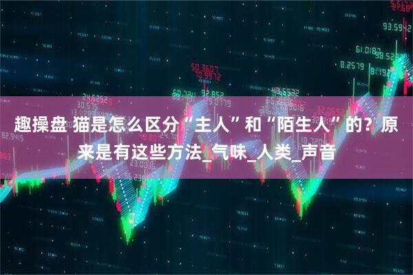 趣操盘 猫是怎么区分“主人”和“陌生人”的？原来是有这些方法_气味_人类_声音