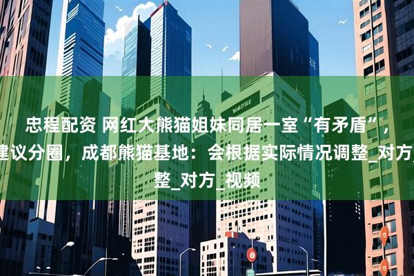 忠程配资 网红大熊猫姐妹同居一室“有矛盾”，网友建议分圈，成都熊猫基地：会根据实际情况调整_对方_视频
