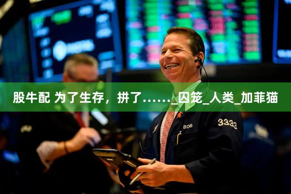 股牛配 为了生存，拼了……_囚笼_人类_加菲猫