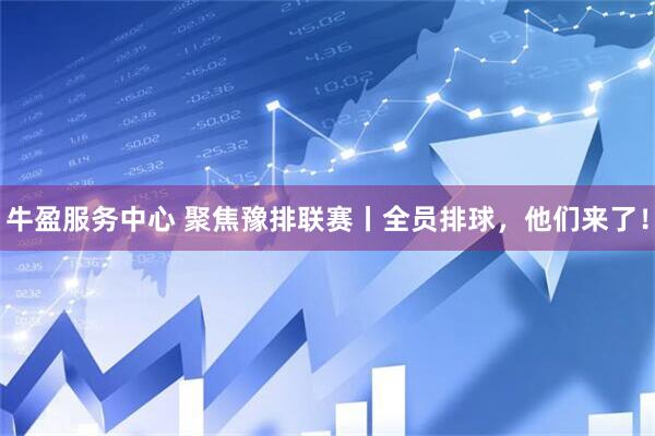 牛盈服务中心 聚焦豫排联赛丨全员排球，他们来了！