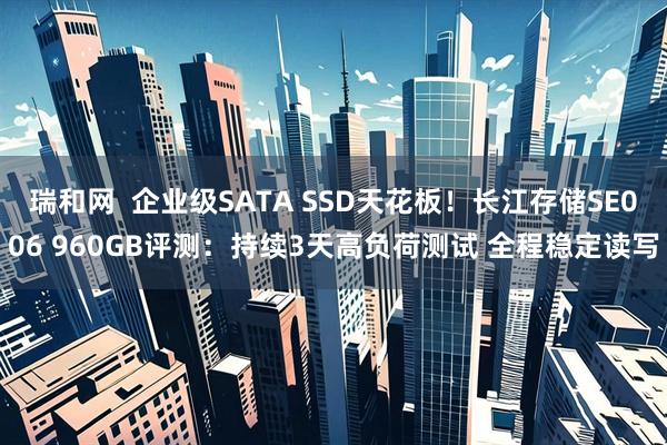 瑞和网  企业级SATA SSD天花板！长江存储SE006 960GB评测：持续3天高负荷测试 全程稳定读写