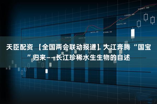 天臣配资 【全国两会联动报道】大江奔腾 “国宝”归来——长江珍稀水生生物的自述